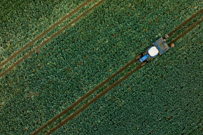 Çiftçilere 1,1 milyar liralık tarımsal destekleme ödemesi bugün yapılacak