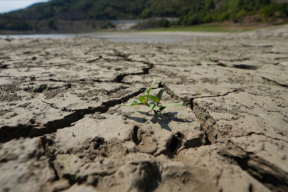 Toprak ile su kaybı, gıdayı ve geleceği doğrudan tehdit ediyor