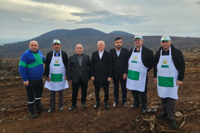 Harmancık’ta doğa yeniden canlanıyor