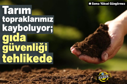 Tarım topraklarımız kayboluyor; gıda güvenliği tehlikede 