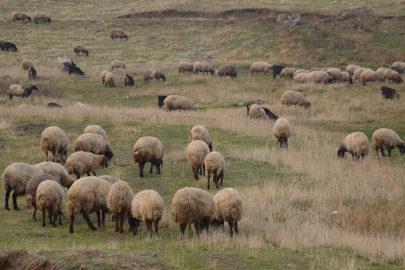 "Halk Elinde Islah Projeleri"ne toplam 2,7 milyar lira destek sağlandı