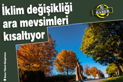 İklim değişikliği ara mevsimleri kısaltıyor