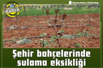 Şehir bahçelerinde sulama eksikliği