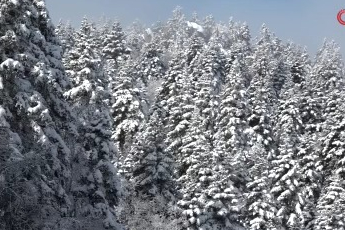 Uludağ'da göz gözü görmüyor