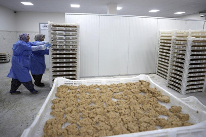 Osmanlı dönemi usulüyle yapılan tescilli Malatya tarhanası ihracata hazırlanıyor