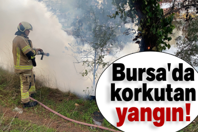 Bursa'da korkutan yangın!