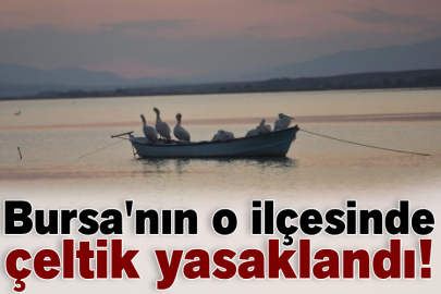 Bursa'nın o ilçesinde çeltik yasaklandı!