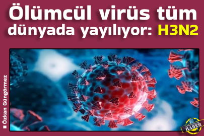 Ölümcül virüs tüm dünyada yayılıyor: H3N2