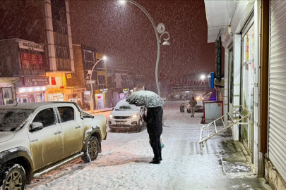 Van'da kar etkili oldu