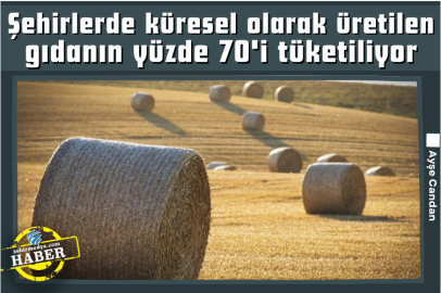 Şehirlerde küresel olarak üretilen gıdanın neredeyse yüzde 70'i tüketiliyor