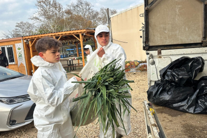 Ata tohumundan ilaç kullanılmadan üretiliyor, Kent Lokantası'ndaki yemeklerde kullanılıyor