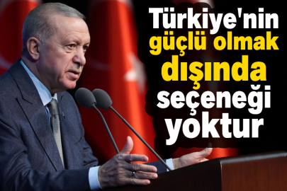 Cumhurbaşkanı Erdoğan: Türkiye'nin güçlü olmak dışında seçeneği yoktur