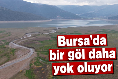 Bursa'da bir göl daha yok oluyor...