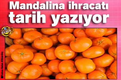 Mandalina ihracatı tarih yazıyor