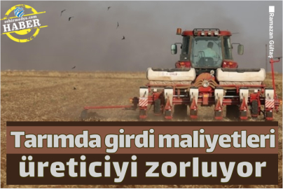 Tarımda girdi maliyetleri üreticiyi zorluyor