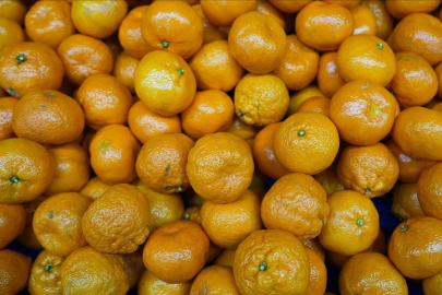Türkiye'nin mandalina ihracatı rekora ulaştı