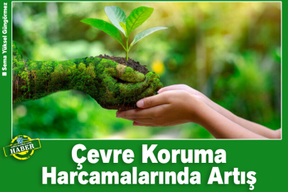 Çevre koruma harcamalarında artış 