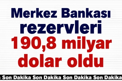 Merkez Bankası rezervleri 190,8 milyar dolar oldu