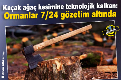 Kaçak Ağaç Kesimine Teknolojik Kalkan: Ormanlar 7/24 Gözetim Altında