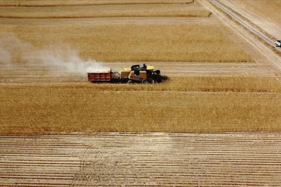 Çiftçilere 2 milyar lira tarımsal destekleme ödemesi bugün yapılacak