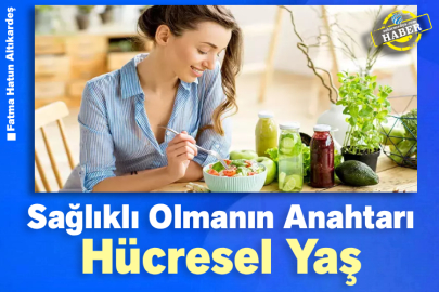 Sağlıklı Olmanın Anahtarı Hücresel Yaş