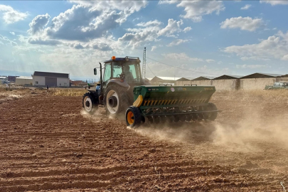 Bozkırda kuraklığa dayanıklı 25 çeşit yerli ürünün demonstrasyon ekimi yapıldı
