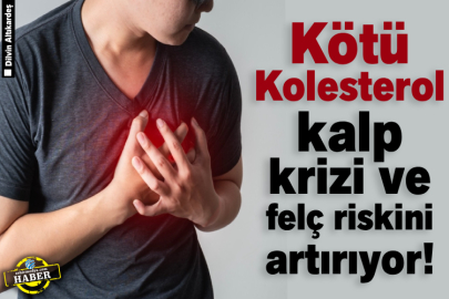 Kötü Kolesterol kalp krizi ve felç riskini artırıyor!
