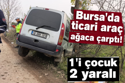 Bursa'da ticari araç ağaca çarptı! 1'i çocuk 2 yaralı
