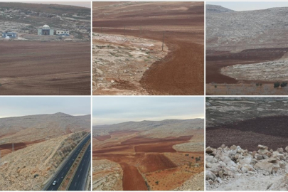 GAP bölgesinde 50 bin dekar atıl ve taşlık arazi tarıma kazandırılacak