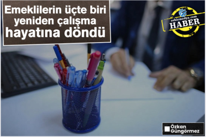 Emeklilerin üçte biri yeniden çalışma hayatına döndü