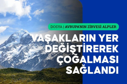 Slovenya Alpleri yaban hayatı çeşitliliğiyle Avrupa'da ekolojik koridor oluşturuyor