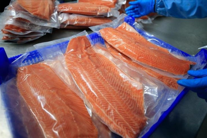 Türk somonu ihracatında hedef milyar dolara ulaşmak