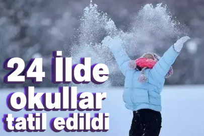 24 İlde okullar tatil edildi