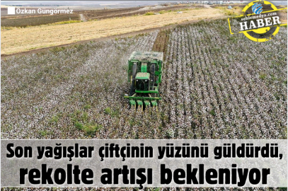 Son yağışlar çiftçinin yüzünü güldürdü, rekolte artışı bekleniyor