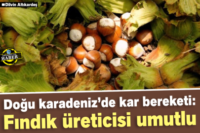 Doğu Karadeniz’de Kar Bereketi: Fındık Üreticisi Umutlu