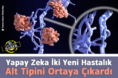 Yapay Zeka İki Yeni Hastalık Alt Tipini Ortaya Çıkardı