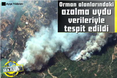 Orman alanlarındaki azalma uydu verileriyle tespit edildi