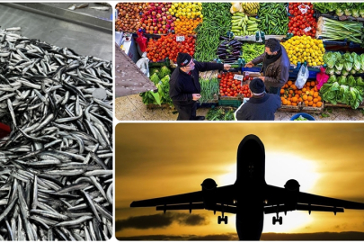 Aralık 2025'te fiyatı en fazla artan ürün "taze balık", en çok düşen "hava yoluyla yolcu taşımacılığı" oldu