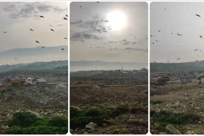 Bursa Büyükşehir Belediyesine büyük ceza!