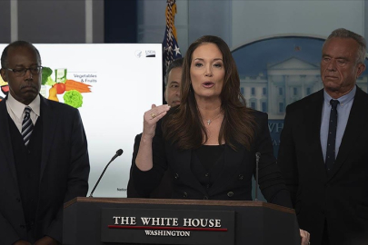 ABD Tarım Bakanlığı, dolandırıcılık iddialarının ardından Minnesota'ya yönelik fonları askıya aldı