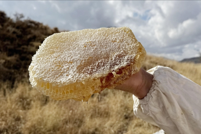 Ilgaz'da satılan bal dünyanın en pahalı balı olarak Guinness Rekorlar Kitabı'na girdi