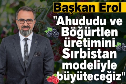 Başkan Erol: "Ahududu ve  Böğürtlen üretimini Sırbistan modeliyle  büyüteceğiz"