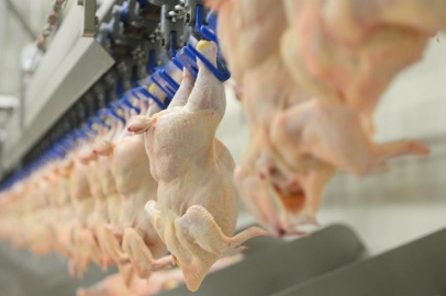 Tavuk eti üretimi Kasım 2025'te aylık yüzde 5,5 azaldı, yıllık yüzde 7,9 arttı