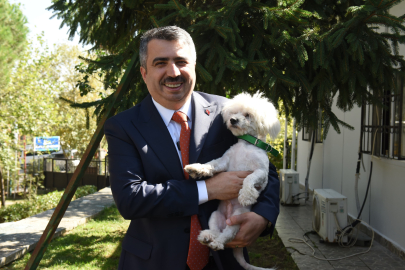 Yıldırım Belediyesi'nden sokak hayvanlarına sıcak yuva