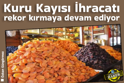 Kuru Kayısı İhracatı rekor kırmaya devam ediyor