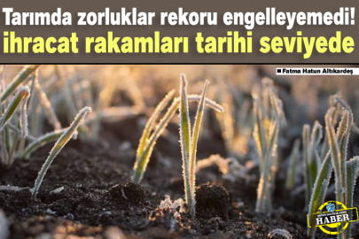 Tarımda zorluklar rekoru engelleyemedi! ihracat rakamları tarihi seviyede