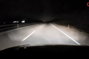 Bursa'da yola atlayan tilkiye araç çarptı