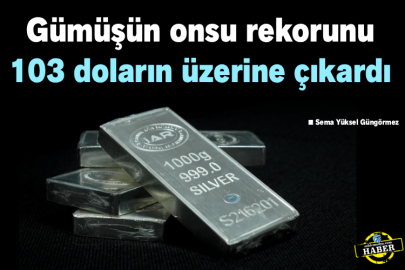 Gümüşün onsu rekorunu 103 doların üzerine çıkardı