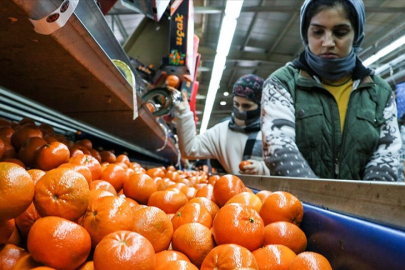Narenciye ihracatı 2025'te Türkiye'ye 1 milyar 477 milyon 58 bin dolar kazandırdı