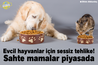 Evcil hayvanlar için sessiz tehlike! Sahte mamalar piyasada